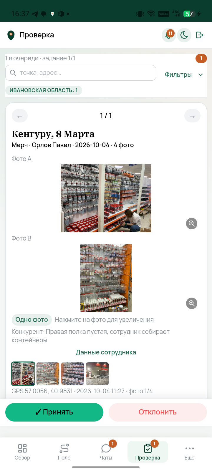 Фото Кенгуру